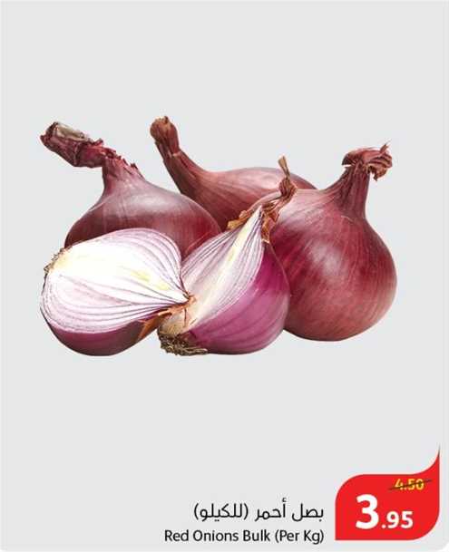 Red Onions Bulk (Per Kg)